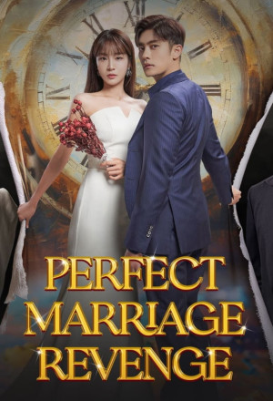 Perfect Marriage Revenge (2023)